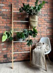 REA - Žebříkový držák ručníků Bamboo 186 HOM-03693