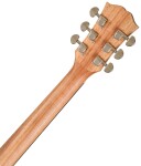 Dowina Puella DE-S+