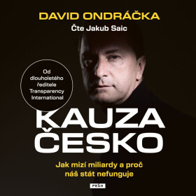 Kauza Česko - David Ondráčka - audiokniha