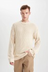 DEFACTO Regular Fit Crew Neck Knitwear Sweatshirt