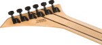 Jackson Pro Plus Dinky Arch Top EB IGB