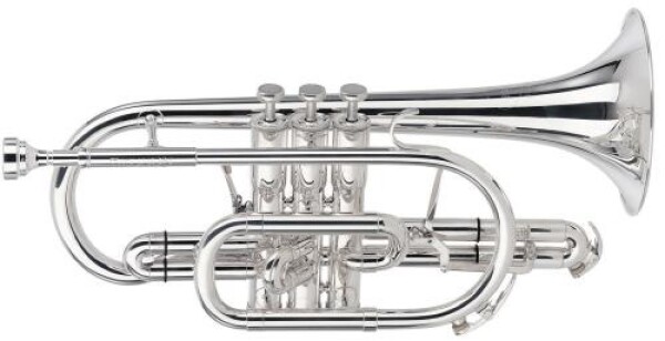 Besson BE928GT-2