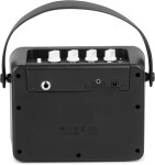 Caline CA-300B
