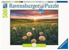 RAVENSBURGER Pampelišky v západu slunce 500 dílků