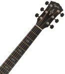 Taylor Gold Label 814e