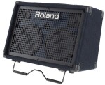 Roland KC-220 Keyboard Amplifier