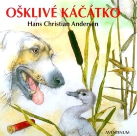 Ošklivé káčátko Hans Christian Andersen