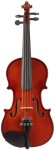 Pierre Marin Amadeus Violin Set 1/4