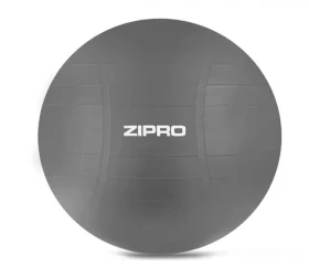 ZIPRO Gymnastic Ball Anti-Burst Premium 65 cm šedá / Gymnastický míč (10947211)