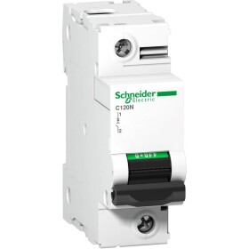 Schneider Electric A9N18359 A9N18359 elektrický jistič 125 A 144 V/DC