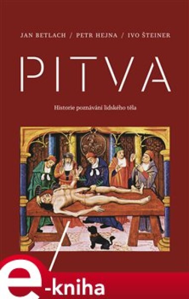 Pitva