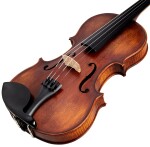 Stentor Violin 4/4 Verona Set SR1864