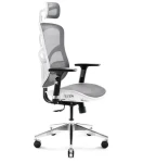 Diablo V-Basic bílo-šedá / ergonomická židle / nastavitelná / síťovaná / pojezdová kolečka / nosnost 150 kg (V-BASICBIASZ)