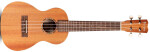 Cordoba Protégé U1C Concert Ukulele