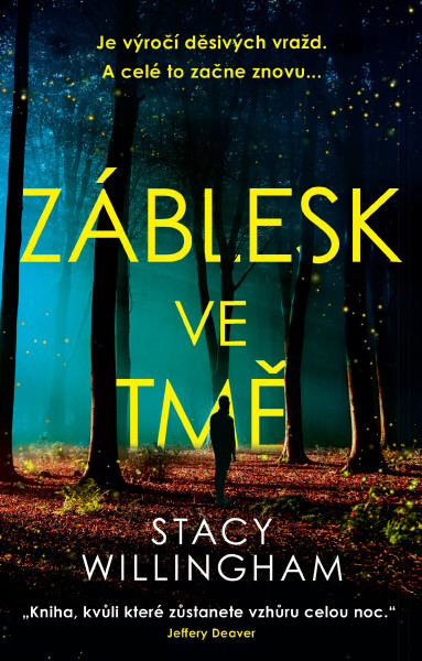 Záblesk ve tmě - Stacy Willingham