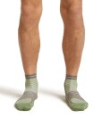 Pánské merino ponožky ICEBREAKER Mens Run+ Ultralight Mini, Lichen/Porcini velikost: 39-41,5 (S)