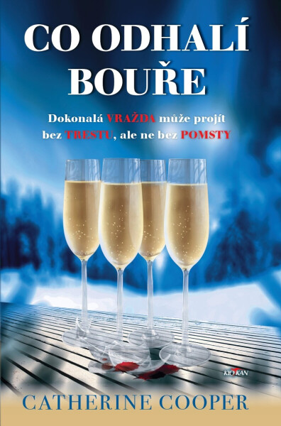 Co odhalí bouře - Catherine Cooper