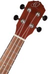 Ortega RU5CE-TE