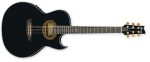 Ibanez EP5 Black Pearl