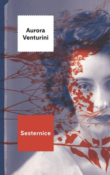 Sesternice (e-kniha) - Aurora Venturini