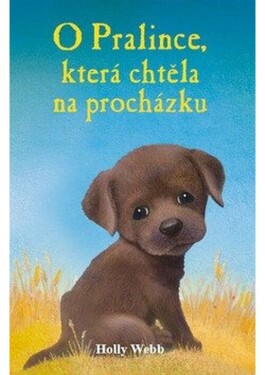O Pralince, která chtěla na procházku - Holly Webb