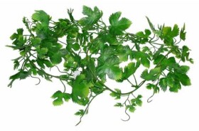 Lucky Reptile Jungle Vine Gape Leaf Vine cca 200 cm (FP-64573)