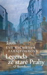 Legenda ze staré Prahy - O Bertíkovi - Farajpourová Eva Sychrová