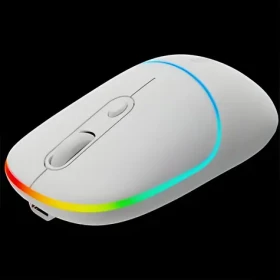 Canyon MW-22 bílá / Optická bezdrátová myš / RGB / 800/1200/1600 dpi / 4 tlačítka / BT + 2,4 GHz / 650 mAh (CNS-CMSW22SW)