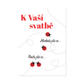 Svatební hrací přání - Zamilované berušky - Albi