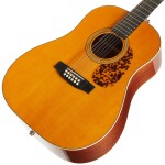 Tanglewood TW40-12 SD AN E Pickguard