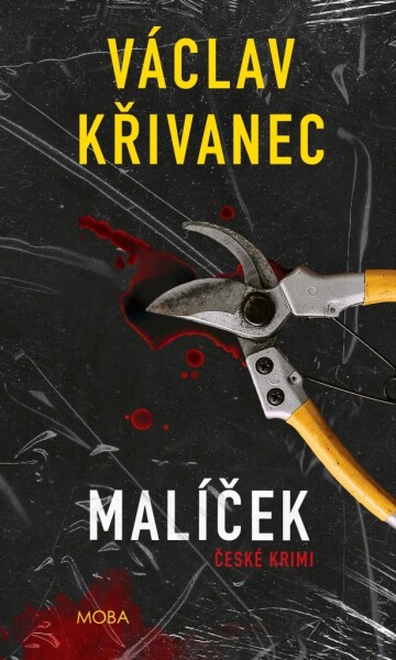 Malíček