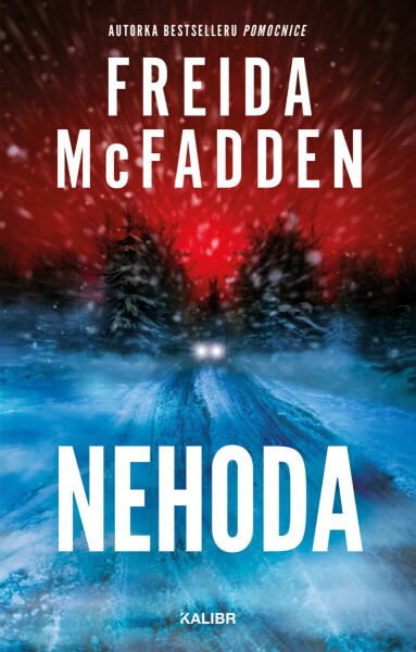 Nehoda - Freida McFadden
