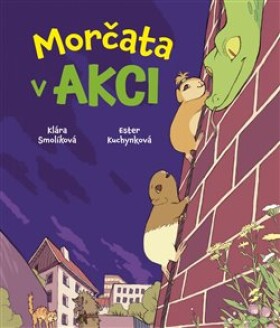 Morčata akci Klára Smolíková