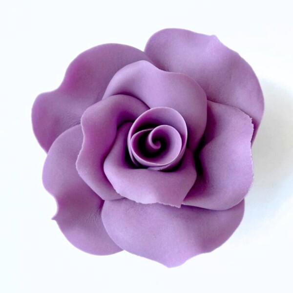 Dortisimo Cukrová růže velká fialová (9 ks)