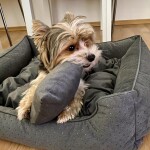 Snug elegantní pelech pro psa Barva: Modrá, Rozměr (cm): 130 x 110