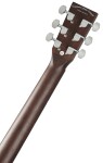 Tanglewood TWCR DCE