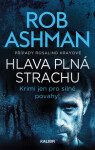 Hlava plná strachu - Rob Ashman - e-kniha