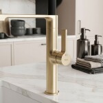 REA - Kuchyňská baterie Lago Brush Gold REA-B9336