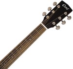Cort Earth 100 NS