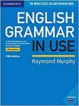 English Grammar in Use 5th