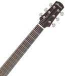Ibanez AAD300CES Natural