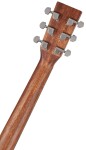 Sigma Guitars DMC-STE