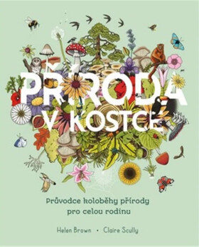 Příroda v kostce - Helen Brown