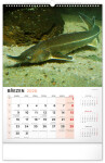 Nástěnný kalendář 2026 NOTIQUE - Rybářský, 33 x 46 cm