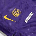 Nike Pánské kraťasy Minnesota Vikings NFL 2025 Sideline Reversible Mesh Dri-FIT Shorts Velikost: S