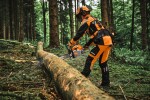 Motorová pila STIHL MS 300 C-M