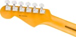 Fender American Professional Stratocaster MN BLK