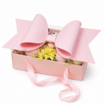 Cake Star Cake Star Elegantní univerzální box s mašlí růžový (35 x 21 x 16,5 cm)