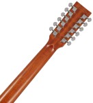 Tanglewood TW40-12 SD AN E