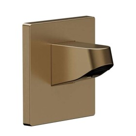 HANSGROHE - Pulsify Sprchové rameno, 8 cm, kartáčovaný bronz 24139140